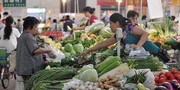農(nóng)產(chǎn)品價(jià)格上漲的供需透視 從商務(wù)部數(shù)據(jù)看生產(chǎn)端動(dòng)態(tài)
