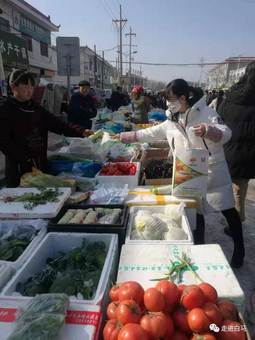 白馬鋪鎮(zhèn)多措并舉，全力保障春節(jié)期間農(nóng)產(chǎn)品質(zhì)量安全
