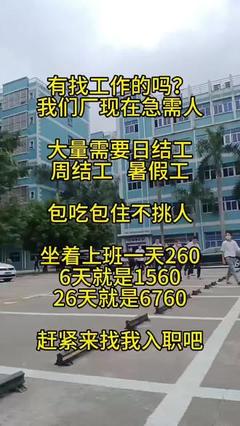 流水線旁的青春 電子廠的廠妹日常